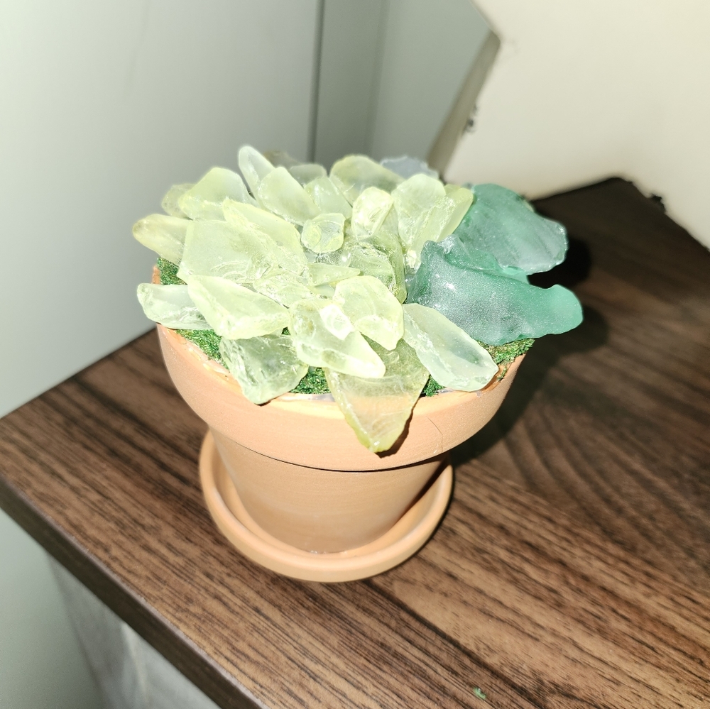 Sea glass succulents